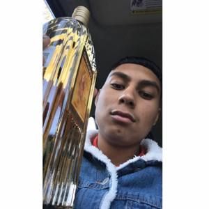 Meet your Posher, Ramses